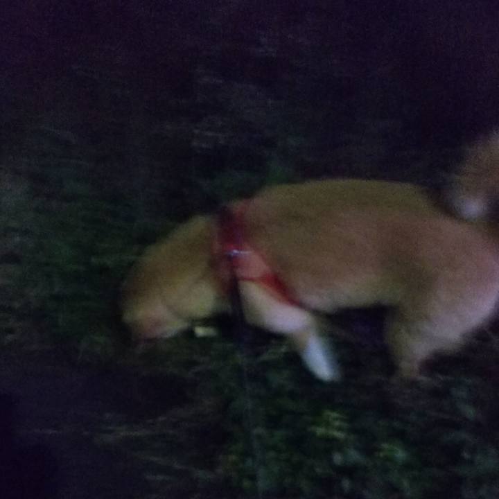 4b1c46ed 5459 4edf aa09 7f713d7f980b 1530876796970