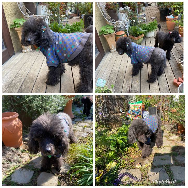 4b1c4cb6 1afb 4296 a85d d6e262a76f3b 1607743044798