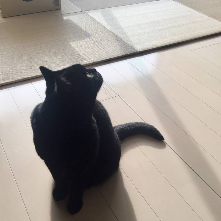 4b1c9483 4075 45a7 b69b 405ba17940fd 1554966872859