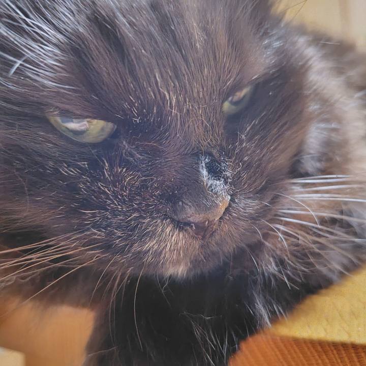 4b1ce126 95b4 4f78 acba 492e4089b464 1749990337799