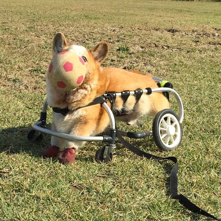 4b1d4cb2 a8cf 4241 80cf d9f064db84a4 1580295747427