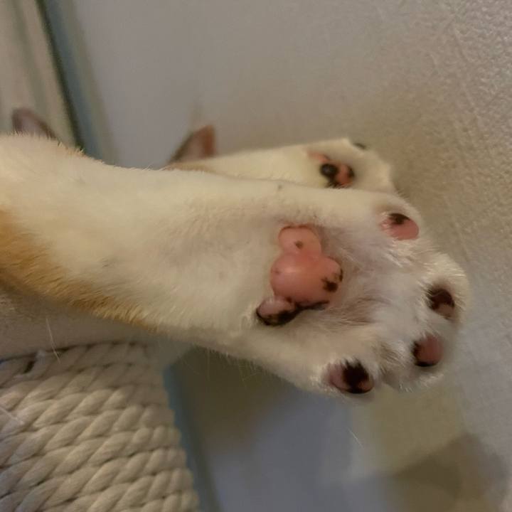 4b1d5e65 1213 4246 860e 15a0ed682f48 1664626947836