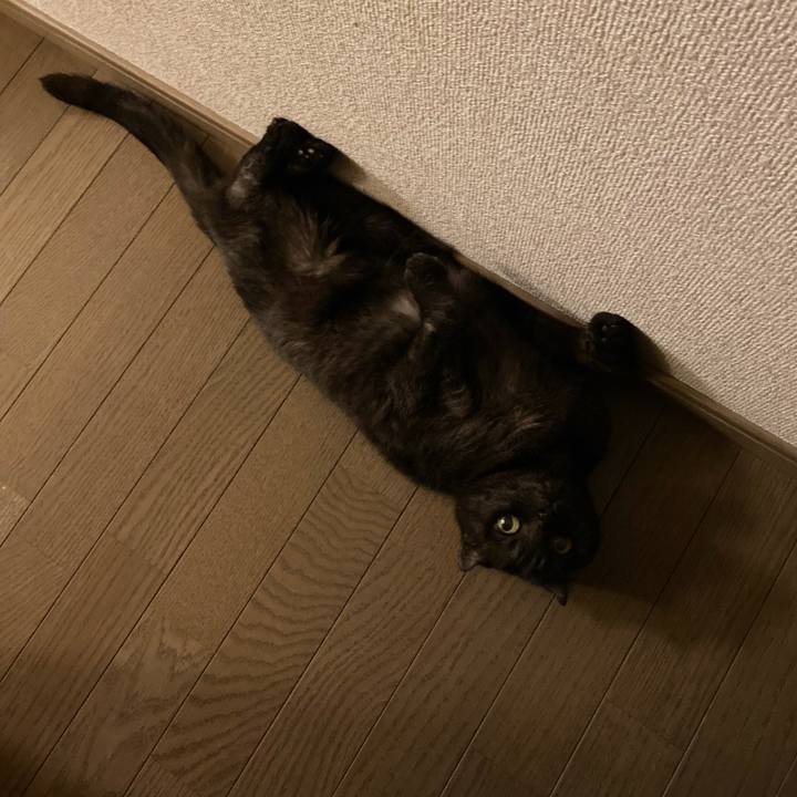 4b1d6cc7 71d2 443f 961b d0df90c0fd0d 1626366766505