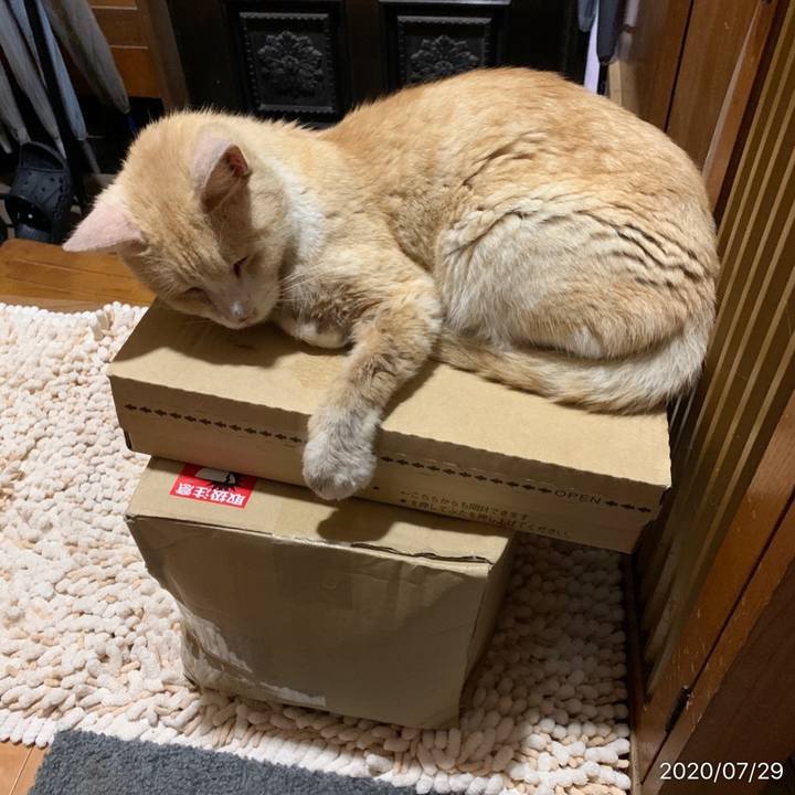 4b1d9d65 eea3 4130 89bb 0cc8b5fed099 1595976059763