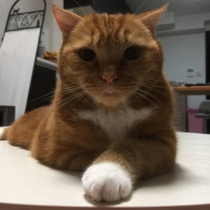 4b1dfcc7 250f 409a 813f 284f17bbcc4c 1604324407595