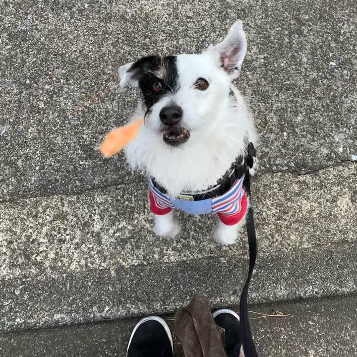 4b1e1a20 5d54 4d5c addc 1a5542430c4d 1741651940731