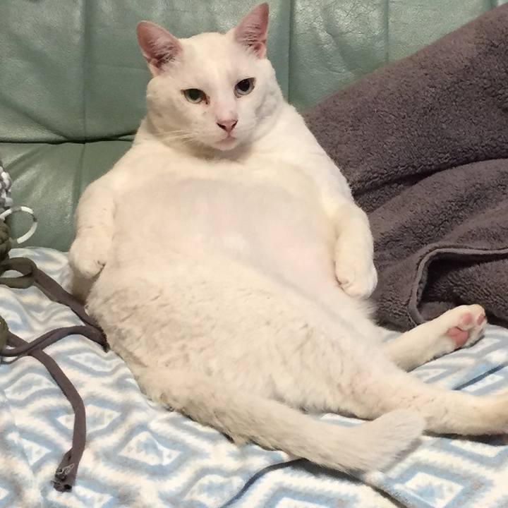 4b1e25ab 7d5f 4d08 8494 2522d27e278e 1533643691069