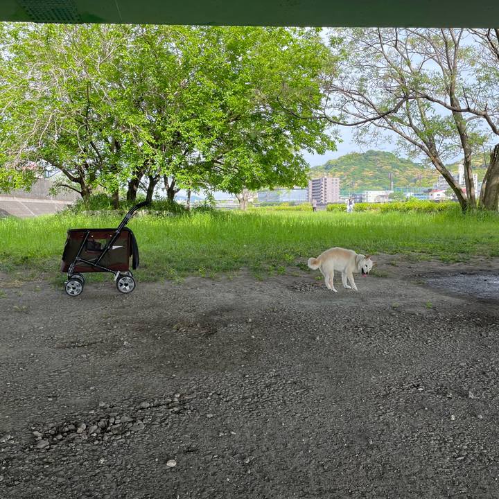 4b1e44f4 a0ce 4414 a2fd 1027e636f2d5 1650888088324