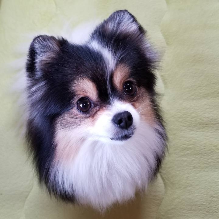 4b1e578d ef3d 4ee3 9d71 994e8ce13e6f 1525648517423