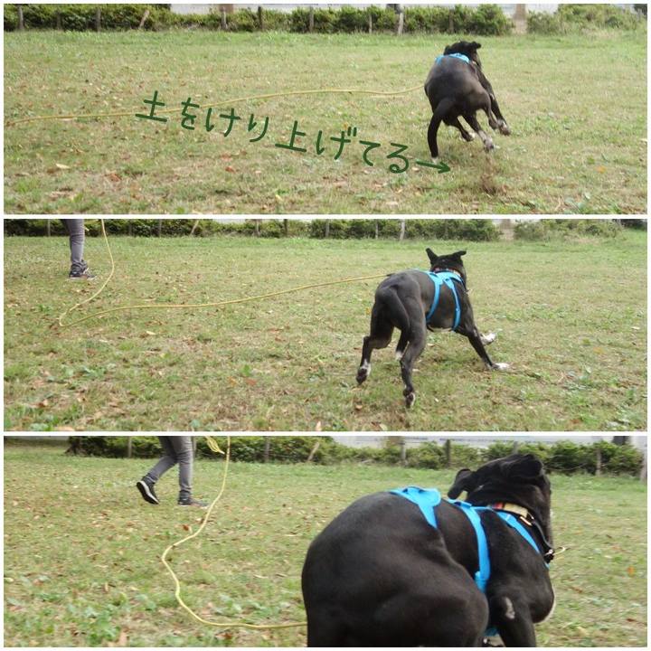 4b1e686a 4738 4ae2 8c89 1c421f70602d 1603759176731