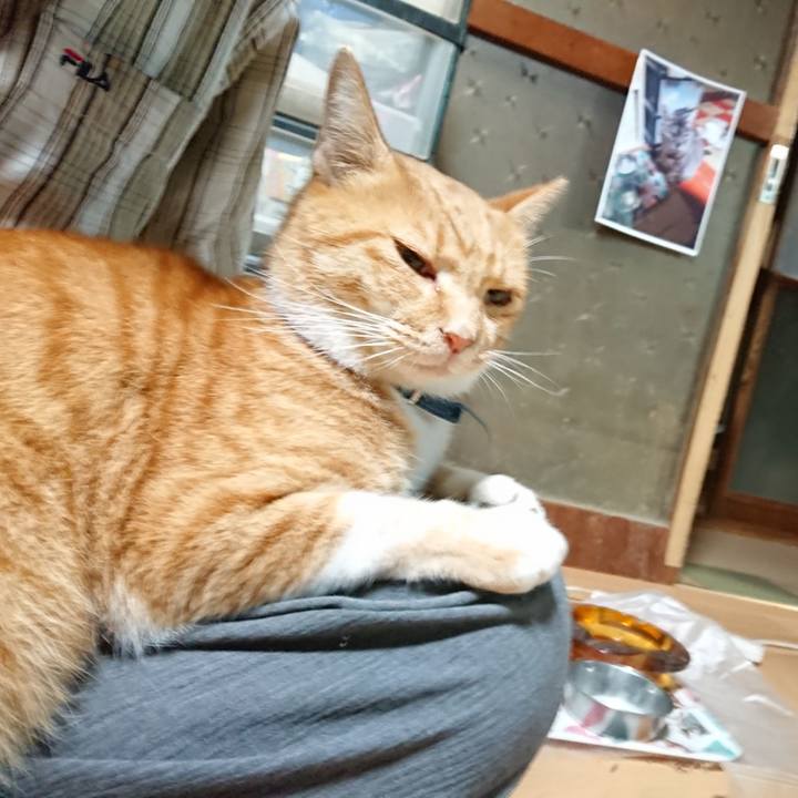 4b1e8160 175e 48d0 9aab af10539a8cd1 1600856974629