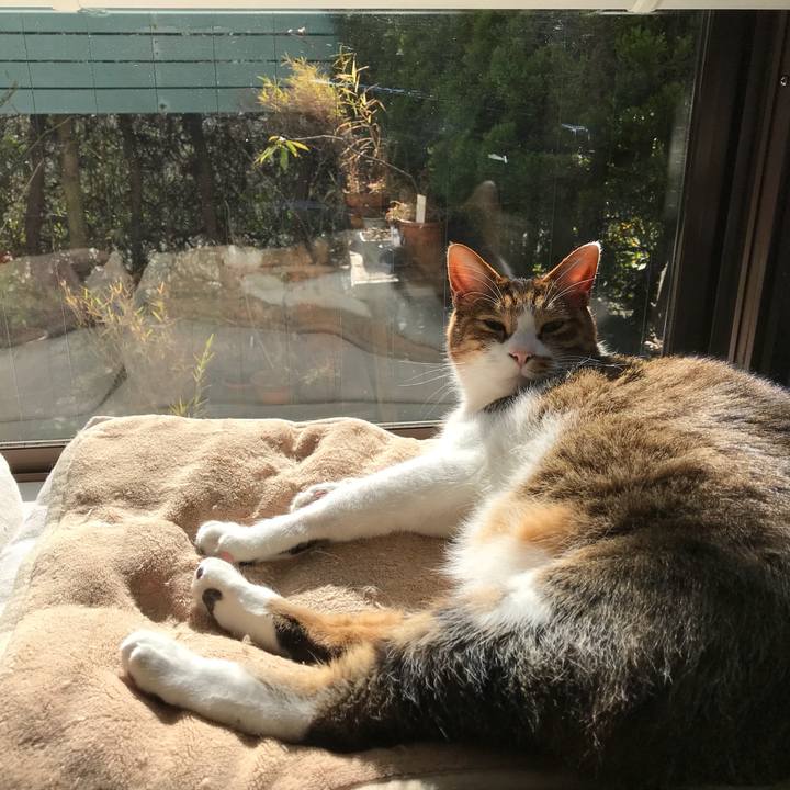 4b1e8c3f 576a 43ec bc25 d7037aeb6f33 1515209924052