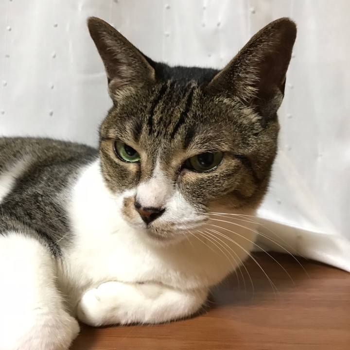 4b1ea1fa 8f44 4b79 865e 70e2844b7b3d 1535242922197