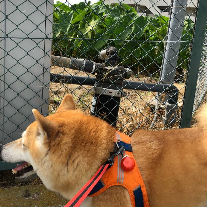 4b1ef050 89ef 4aa1 bfa0 58de13dbb46e 1568265157491