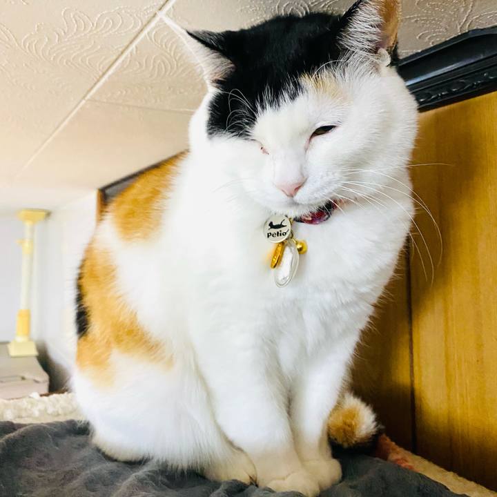 4b1f02a6 a578 4304 8c9b 4b2f711767d5 1710516563377