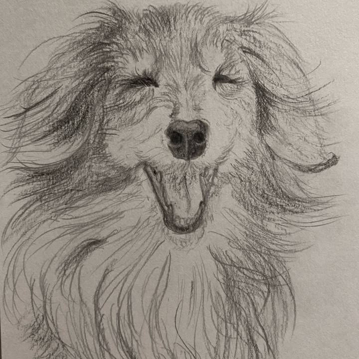 4b1f0f80 c81b 498f 83f3 e5b7dc145504 1653312082710