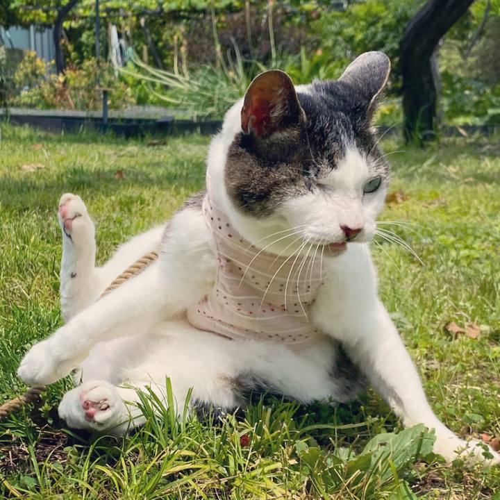 4b1f20cc d0a6 43a4 9243 2daddc99fbd6 1622540998366