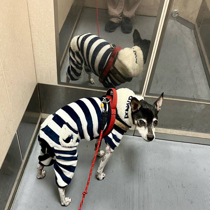 4b1f285f 9bf7 4676 860e 368f599245d0 1641597388853