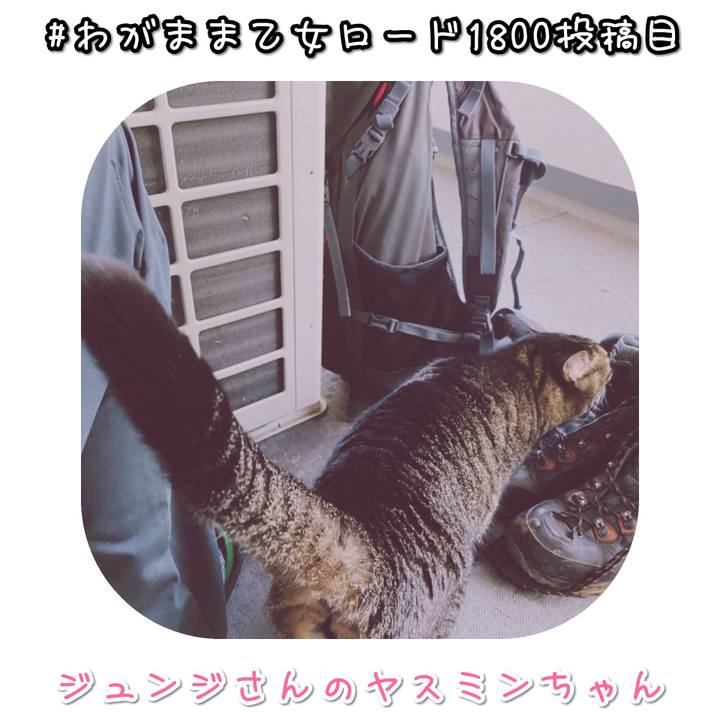 4b1f292b 261c 4ecb a880 af4885dcde0b 1575929249007