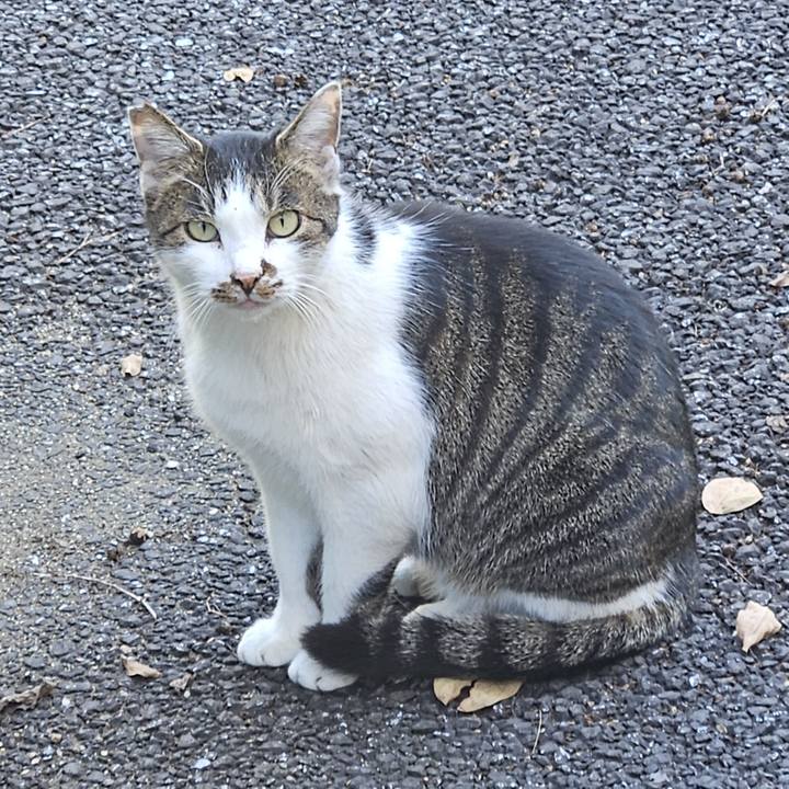 4b1f37ff 978b 4159 915f 1d2510ee8578 1733882706742