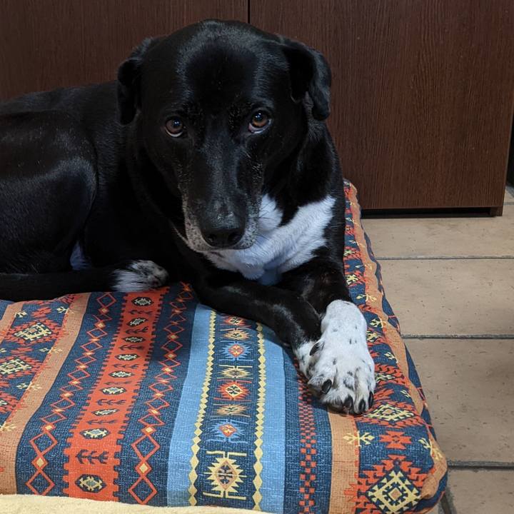 4b1f3a62 a57f 4d9b 841e 5a67d7cb1830 1697022968181