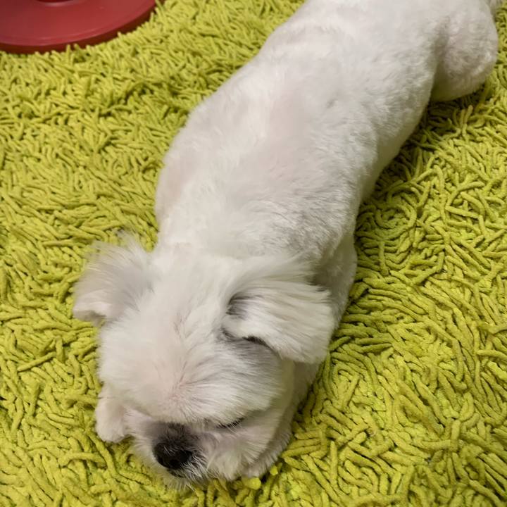 4b1f48d3 120e 45ba afab 716b47c2a850 1644148308877