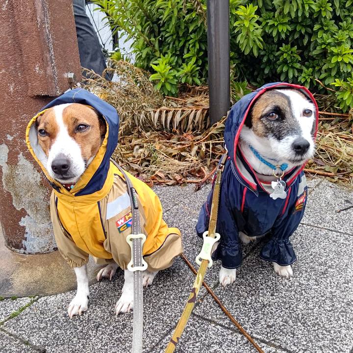 4b1f6b58 3576 4c52 aa77 9cbad249d0d8 1636411983087