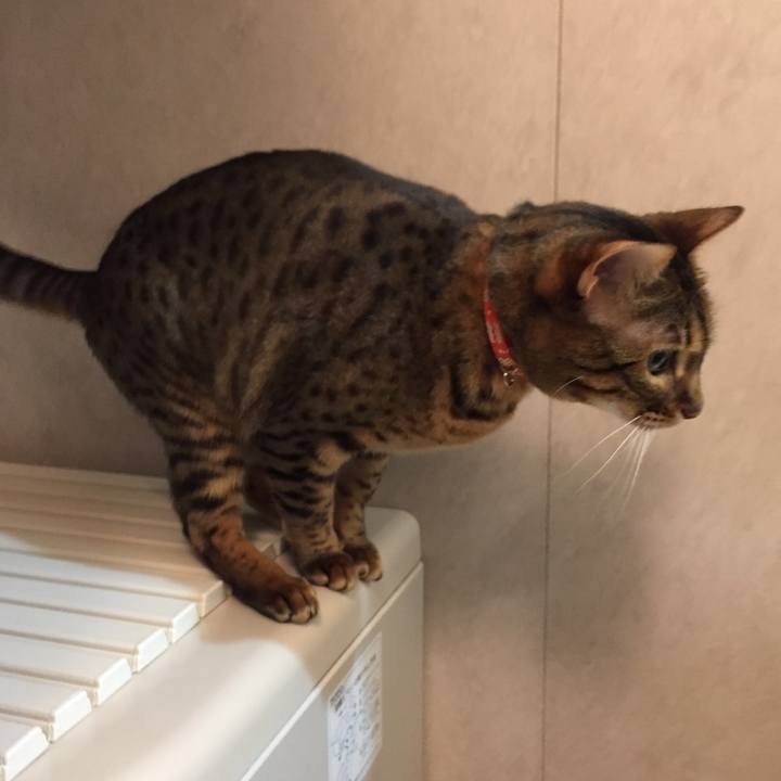 4b1fa5f8 6c35 4c23 9d89 0f294035088a 1515623695804