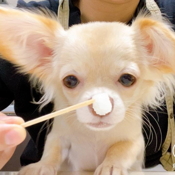 4b1fa9ef f4a0 438a a5b9 b7832b38a9df 1602395940088