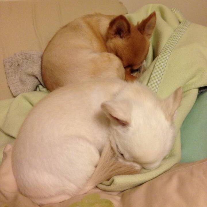 4b20033c e543 4fe0 96e0 dd76295ac73e 1551819940037