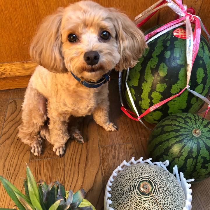 4b2040e8 2ba0 4c0e 8142 cbe0aff3da12 1626568194232