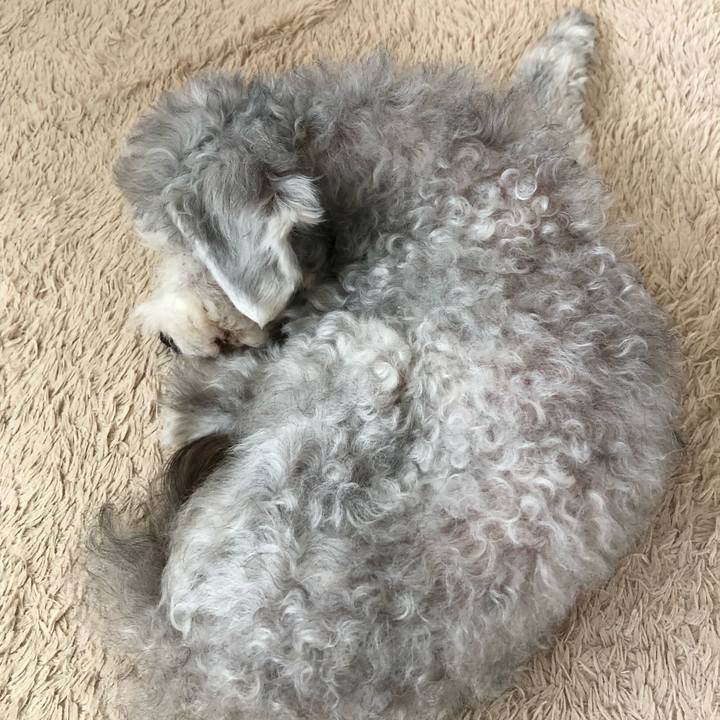 4b20441d bdd5 4c61 85a7 052f7f300ec7 1648605257600