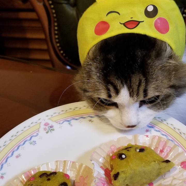 4b20a07e e5cc 4fe5 a984 0572eaee88ee 1550872541138