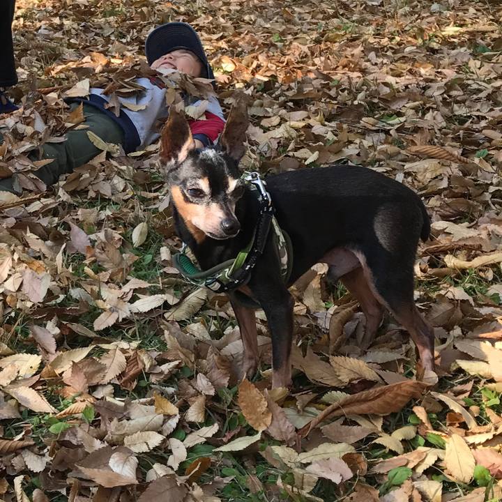 4b20aef4 eb03 4189 adab ce7b43a72a83 1509857423230