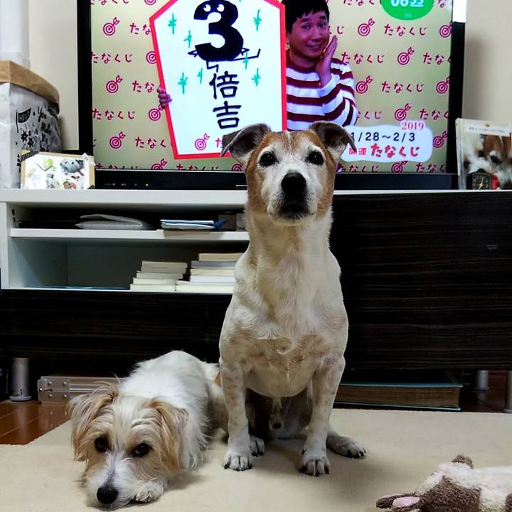 4b20b928 3569 45de b4fa b32812d80f67 1548627864206