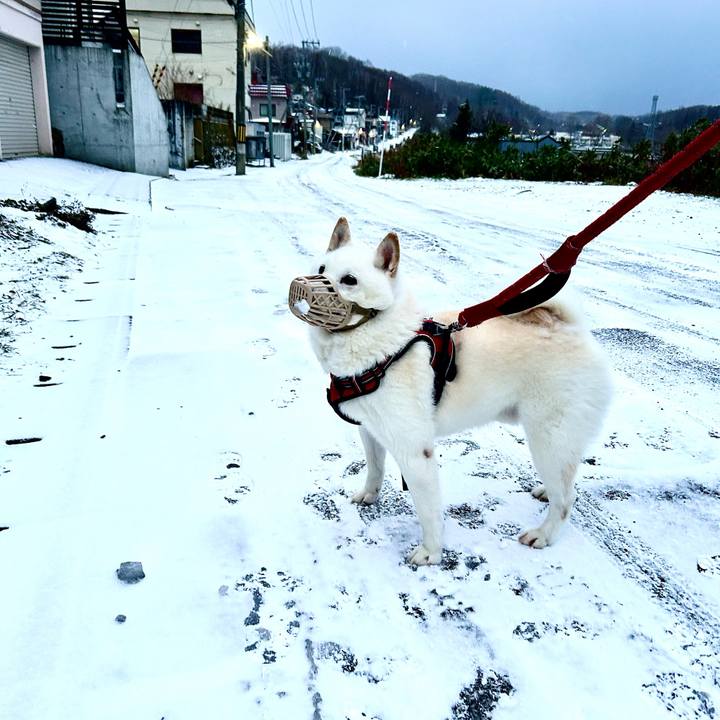 4b20d6f9 1141 40c6 aa85 3fb5856e9c4e 1701989944773