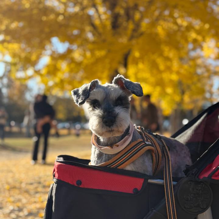 4b210099 1a0e 4fef 994f 8e3e7ce05ee6 1763792777068