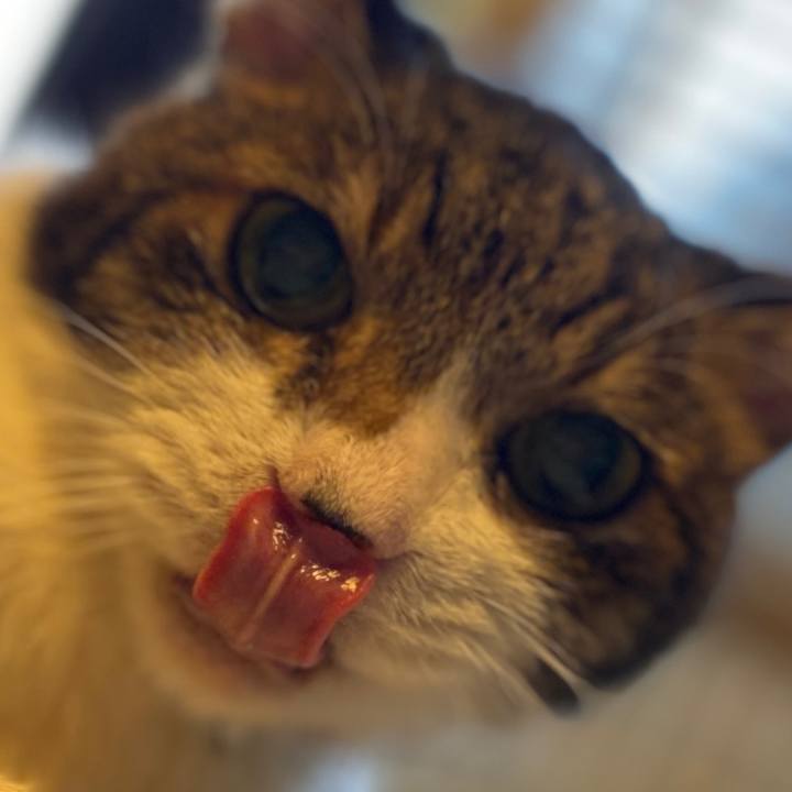 4b212c31 d0e2 484a bd6e 2405672c8f85 1616912555385