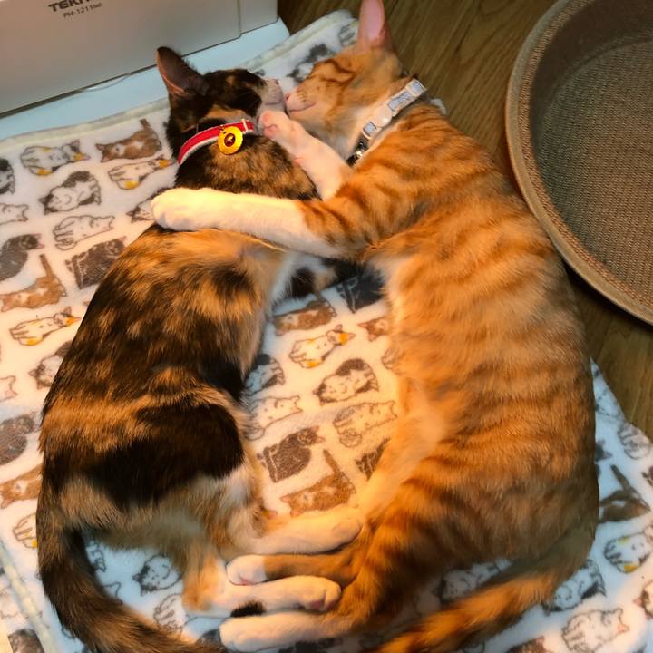 4b2143e7 d2ad 42fb 93a6 55b07822a8dd 1545651753186