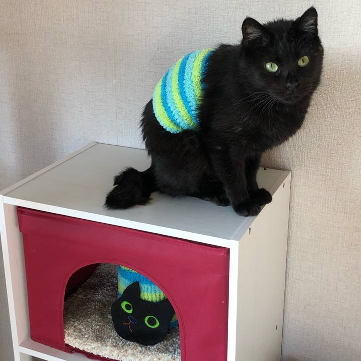 4b217258 a92c 4b0c b3cf b84c47340780 1587249191741