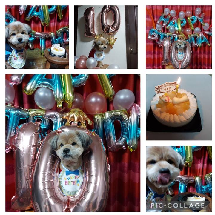 4b2185de 134d 40da 87e4 03823d0c24cb 1640087061806