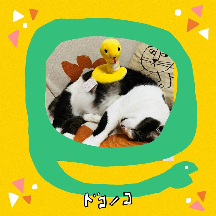 4b21c6c7 174a 4257 b445 513929f89263 1741215039080