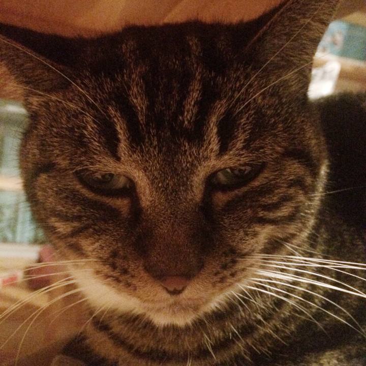 4b21f64e 6bd3 4edd 8b3d 72628153d332 1508764744130