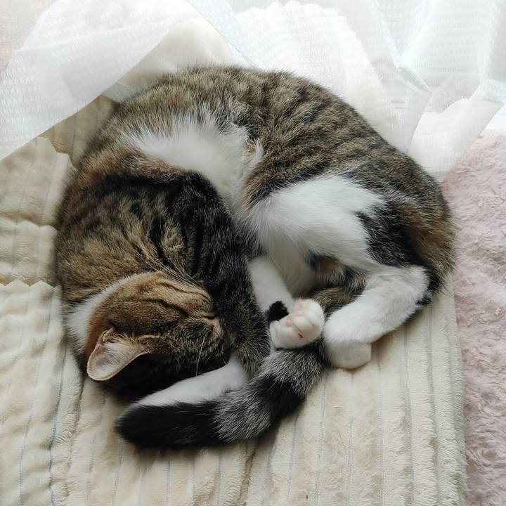 4b220f8b eaef 46c0 8827 5f116f9a75af 1663826203746