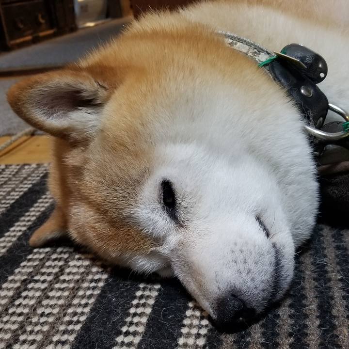 4b2212b0 9bf7 4056 998b 24028591a582 1657627173346