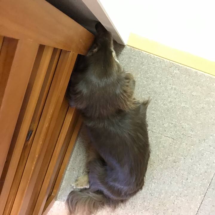 4b224678 175f 4f94 b6c6 50692f521129 1602119042959