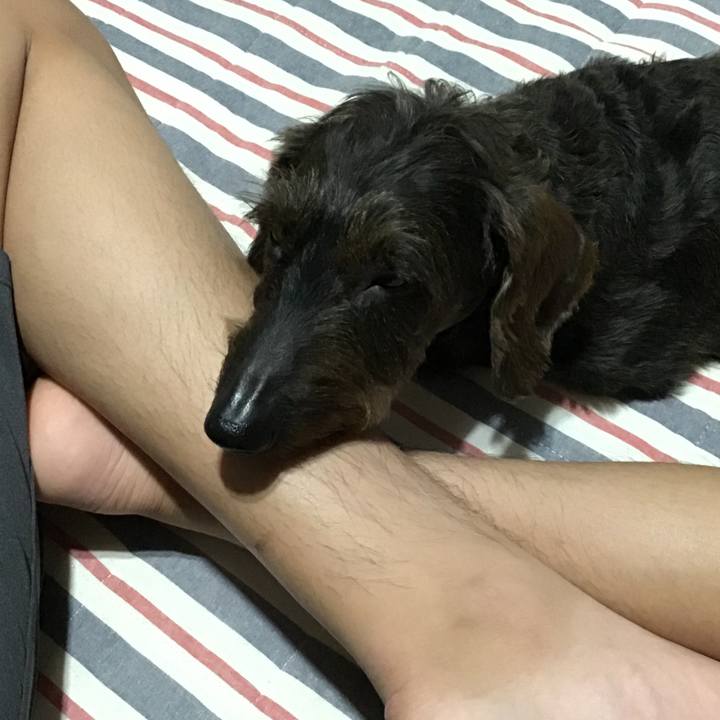 4b2249fc 5198 42b6 a4e3 0f5c097b7d26 1561208992571