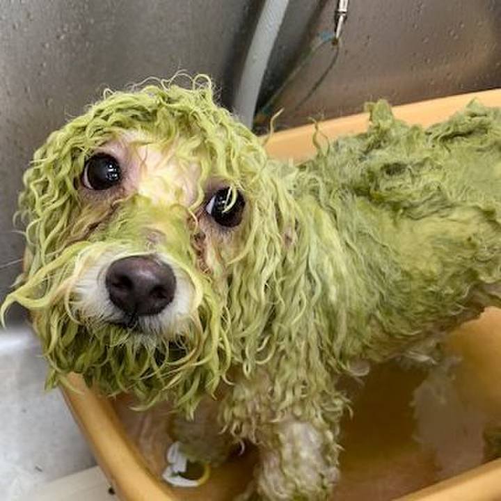 4b227561 a3f4 46d0 99e2 1afda1efe55c 1540724768267