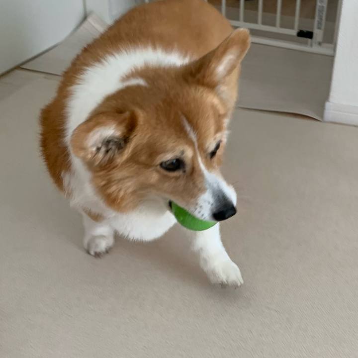 4b229509 2387 4161 b1b4 43e05b885634 1710132894834