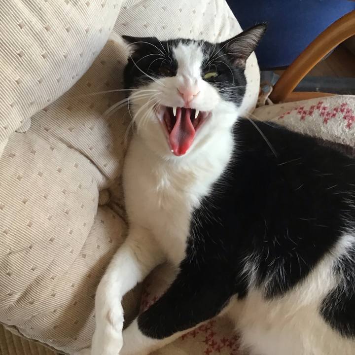 4b22c00c ada3 4791 b4dc 7e76aee56e56 1690028380285